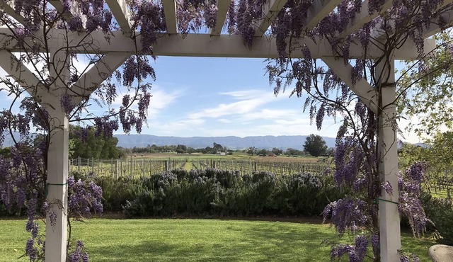 In the Heart of Los Olivos- Luxury Wine Country- on our Vineyard!