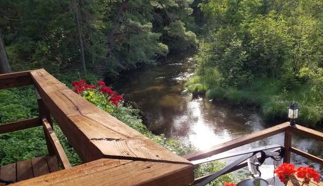 In the heart of Michigan's Elk Country...on the bank of Crooked Creek & 20 acres
