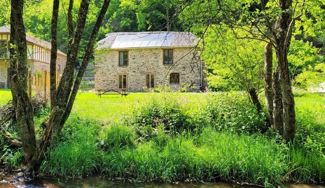 In the heart of nature, in an old mill, house with swimming pool