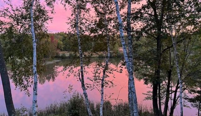 In the heart of nature! Romantic getaway!