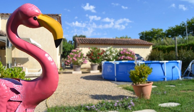 In the heart of orchards. The song of the cicadas