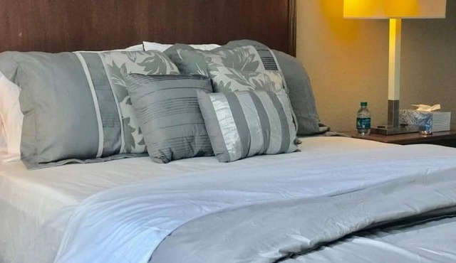 In the Heart of the City at Bell Channelside G-174