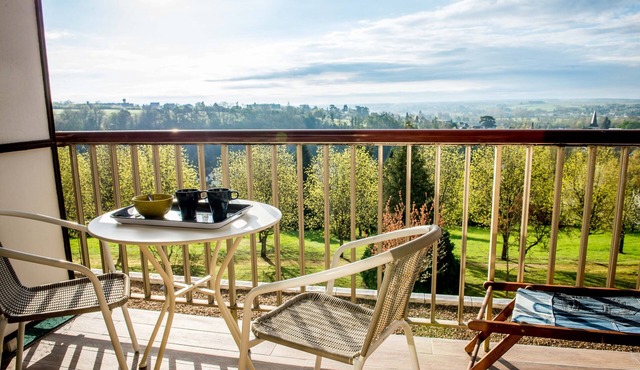 In the heart of the Loire Valley, near the Loire Castles and the Beauval zoo