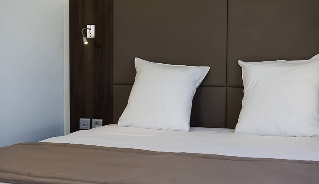 In The Heart of The University Campus of Bourgogne! with Private Kitchenette