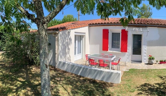 -In the middle of the vineyards-