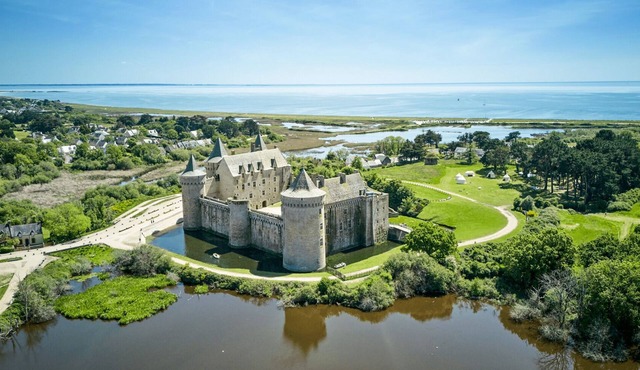 In the nature reserve of the Gulf of Morbihan peninsula