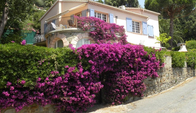 In the quietness, facing the sea, with a large shaded garden
