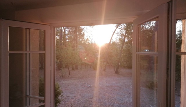In the rising sun
