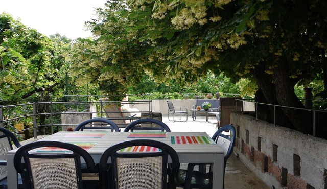 In the shade of the lime tree