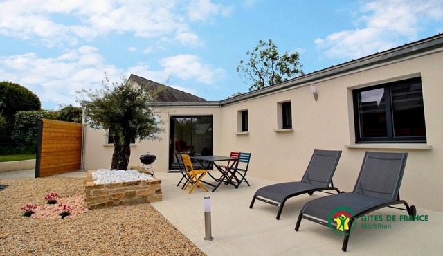 In the shade of an olive tree