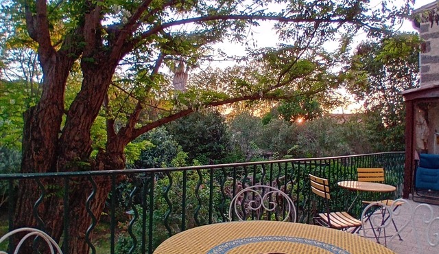 In the shade of the accacia tree