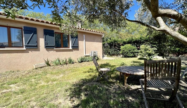 In the shade of the Olive Tree