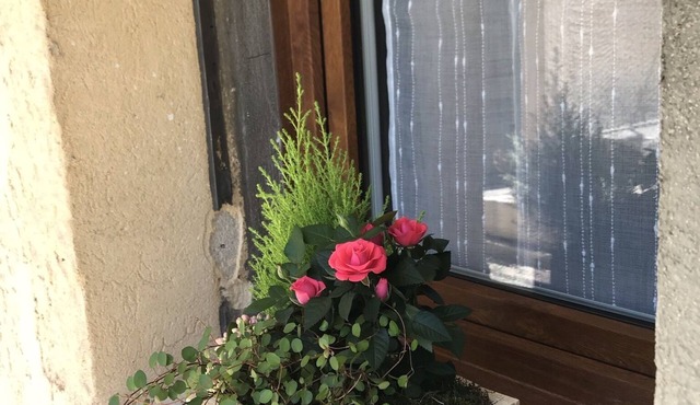 In the shadow of the giant of Provence