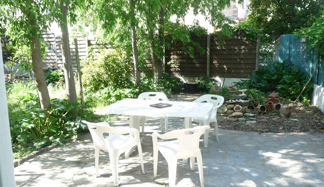 In the shadow of the Micocouliers