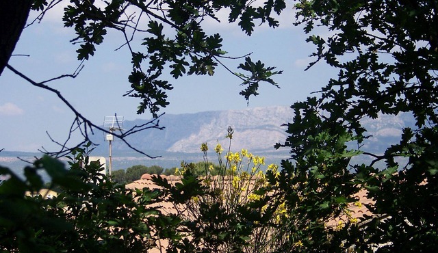 In the village of Provence, 2 rustic dwellings in enclosed arbo