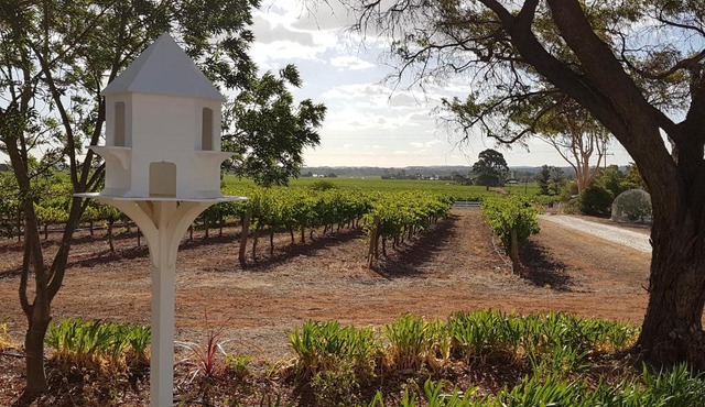 'In The Vines' Guest Cottage, Barossa Valley