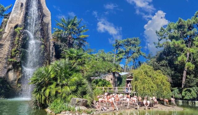 In this attractive vacation home you can look forward to a wonderful time near the sea.