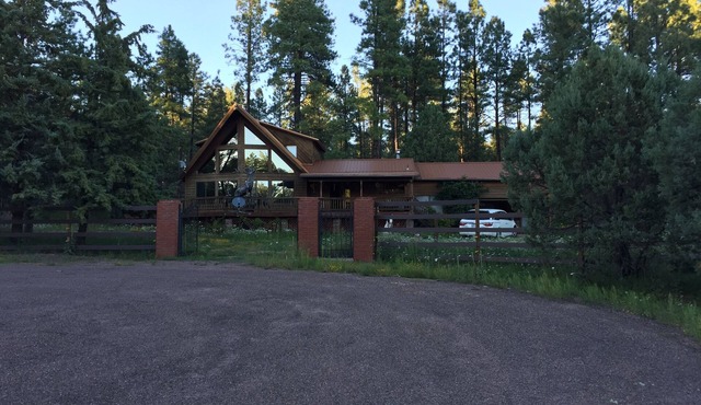 In Tonto Village backing up hundreds of miles offroad roads in the forest