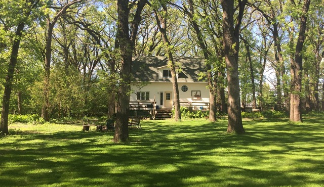 In-Town Moose Haus Lodge