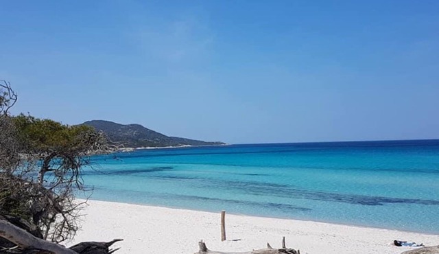 In Villa, Cosy T3 for 4 people, Terrace, Garden, parking, WIFI in Volpajola