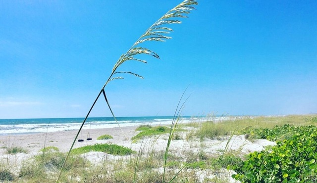 INCREDIBLE Direct Oceanfront 2 BR Condo! Waterfall Countertops, Luxury Feel!
