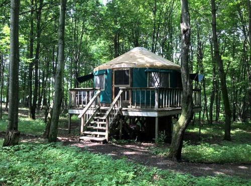 Incredible Equipped Yurt Amazing for a Glamping Experience in East Meredith, New York