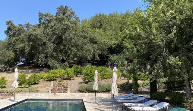 Incredible Estate on Sonoma Mountain