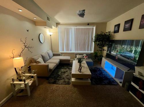 Incredible find near Washington DC - 1 Private room in shared apartment