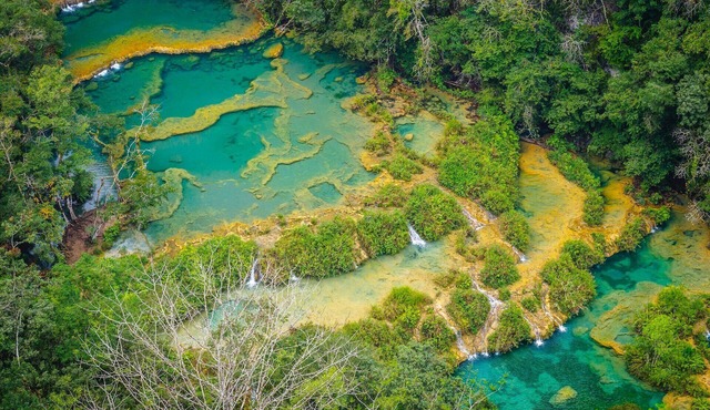 Incredible Mississippi views from our cozy Room !