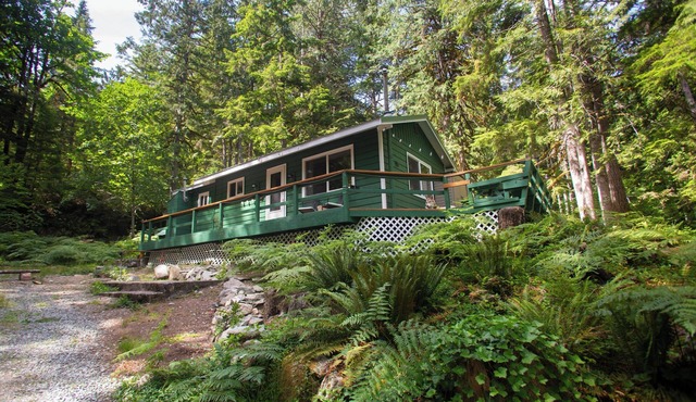 Incredible mountain views, off grid cottage sleeps 4