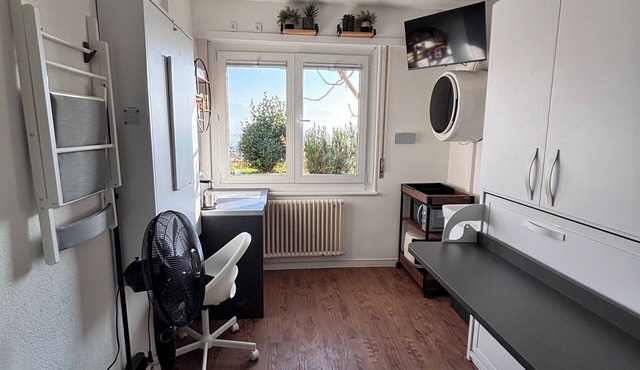 Incredible room with lake view and washing machine - Grape Place Bellevue