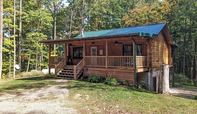 Incredible secluded cabin featuring amazing forest views off of the back deck!