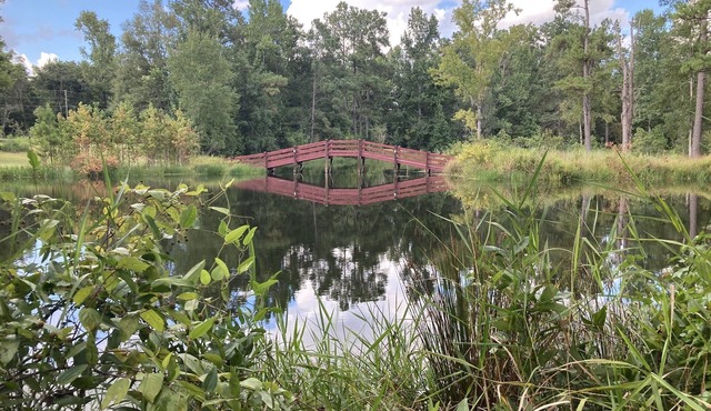 Incredible water views!