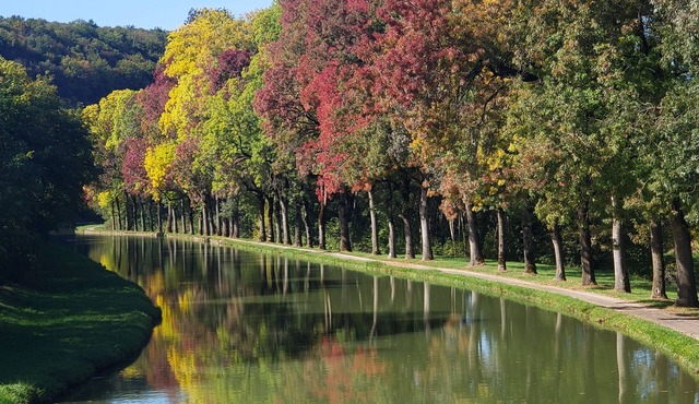 Independent appartment in Auberge café/bar/restaurant nPort Canal de Bourgogne