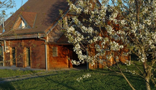 Independent chalet with garden and pool access near St Pourçain