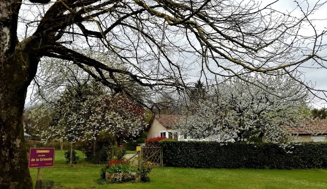 Independent, warm and bright cottage with modern facilities