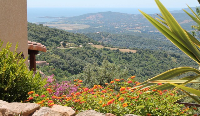 Independent garden level with exceptional views