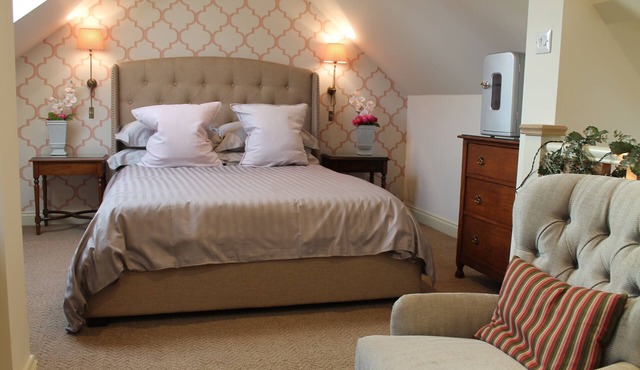 Independent guest suite, with en suite shower, kitchenette - STEAM CLEANED