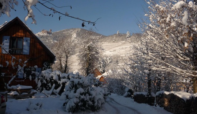 Independent lodging in a huge private park in Ribeauville