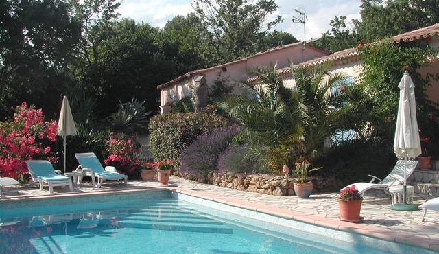 independent studio facing the pool