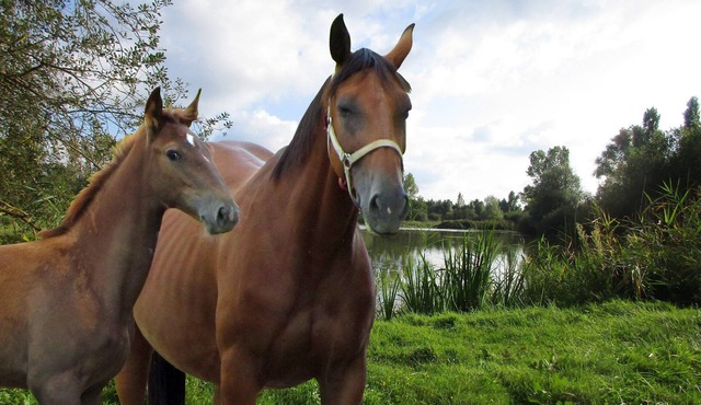 Independent studio fully equipped in the heart of the Dombes