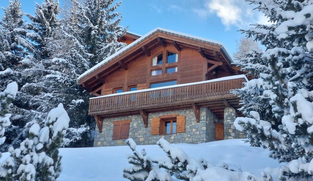 Individual chalet * La Plagne Montalbert (Paradiski)