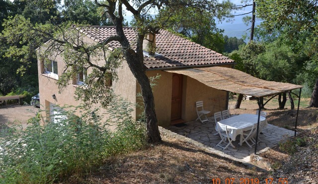 INDIVIDUAL HOUSE IN PEACE AND IN THE FOREST