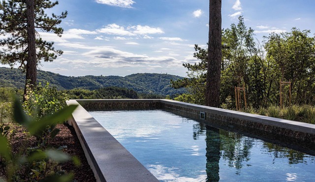 Indoor Heated Pool with Sauna - Villa L Excelsior