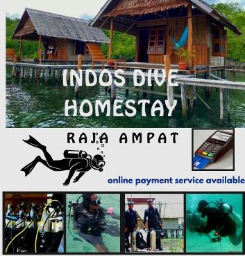 Indos Dive Homestay-Raja Ampat