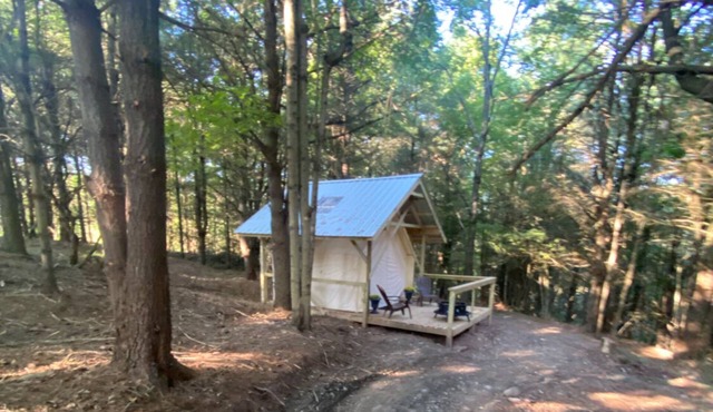 Indulge in our Forest Retreat