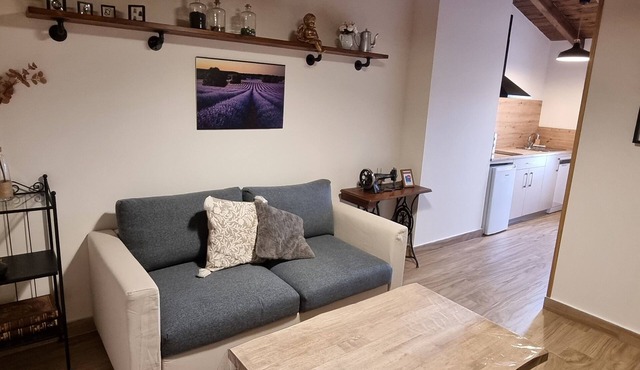 Industrial Apartment