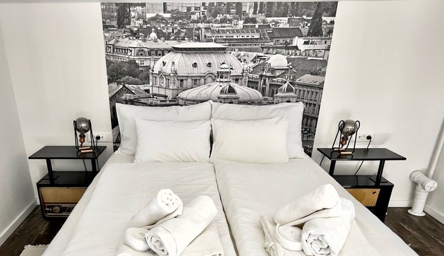 Industrial apartment in the city centre