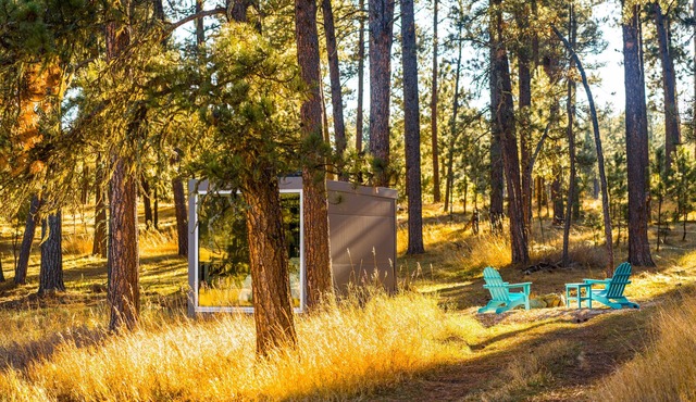 Industrial micro cabin in the forest