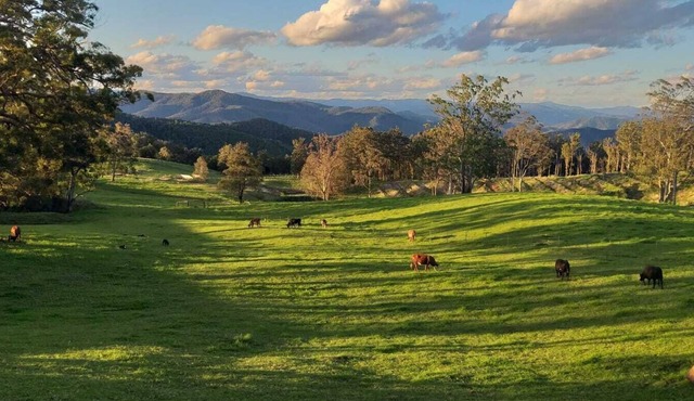 'Infinity Cottage' - surrounded by orchards, pasture, bush and mountains